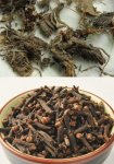 餐飲爆款年年有，今年輪到了美蛙魚頭了【四川火鍋底料批發(fā)價(jià)格】