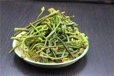 蕨菜有毒不敢用？真的是這樣的嗎【重慶火鍋底料批發(fā)在哪里】