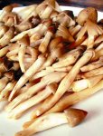 嶺南菌王當(dāng)季，食客們?yōu)橹偪瘛局貞c火鍋底料批發(fā)商】