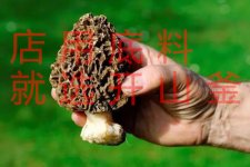 菜品如何提升檔次？【重慶火鍋底料批發(fā)價格】
