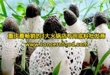 它的功效賽人參，味道還異常鮮美！【重慶火鍋底料廠家】