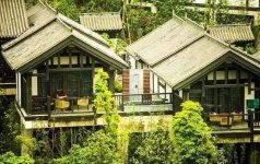 門店租金=流量成本 開(kāi)餐廳花高價(jià)錢租來(lái)了“旺鋪”