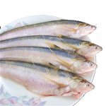 長江刀魚禁捕兩個月后，竟有飯店公然出售相關(guān)菜品