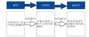 雞肉瘋狂漲價(jià)！餐企要如何應(yīng)對(duì)？【重慶火鍋底料批發(fā)】