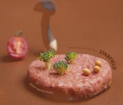 未來(lái)持續(xù)發(fā)展的方向：挖掘植物肉作為菜品的多樣性、借助成熟產(chǎn)品深度走進(jìn)中式餐飲【重慶火鍋底料批發(fā)在哪里】