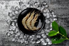 多地市場(chǎng)嚴(yán)查厄瓜多爾白蝦！部分地區(qū)“一刀切”，要求全部下架【重慶火鍋底料在哪里買(mǎi)最好】