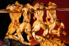 千億牛蛙賽道迎來(lái)細(xì)分熱，美蛙火鍋能否突圍而出？