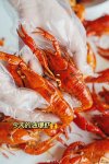 文和友又來搞事情了，這次是露營