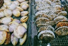市值縮水近90%后，“中國水產(chǎn)第一股”指望預(yù)制菜“救命”？