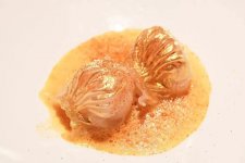 對(duì)話魏旭翔、林衛(wèi)輝：粵菜創(chuàng)新，步子還可以邁大一點(diǎn)
